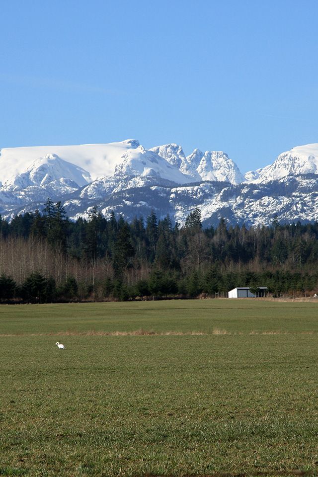 Comox Glacier, as seen from outside of Comox, BC